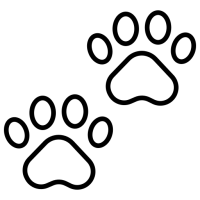 4786972 4786972